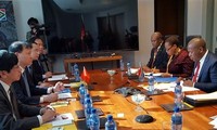 В Претории проходит 3-е заседание вьетнамо-южноафриканской торговой комиссии